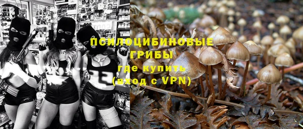 apvp Аркадак